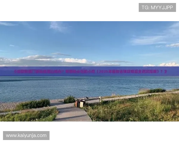 为什么很多球星会作开云体育的代言人防骗避坑指南